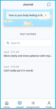 Journal3_Coming Home-1
